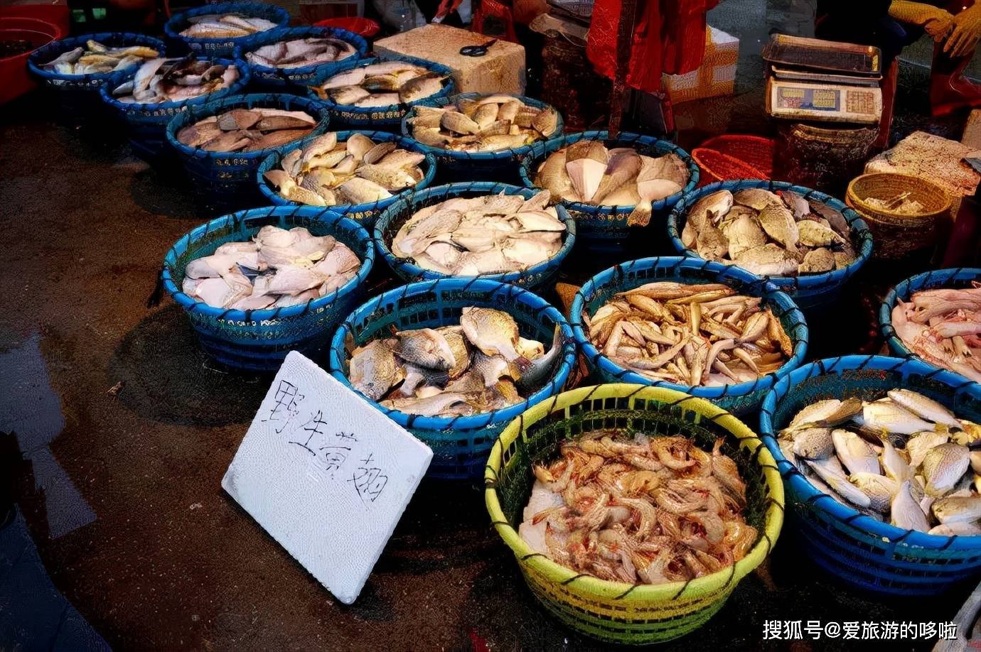 中国八个最美菜市场 中国八个最美菜市场