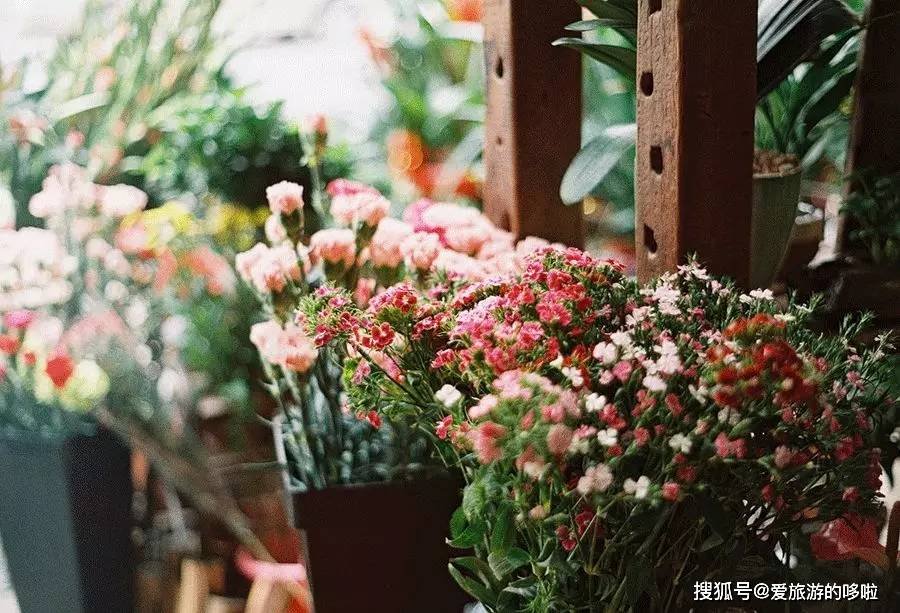 中国八个最美菜市场 中国八个最美菜市场