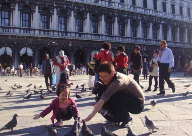 原创为什么去欧洲旅游，导游提醒一定不要喂鸽子？不听就吃大亏了