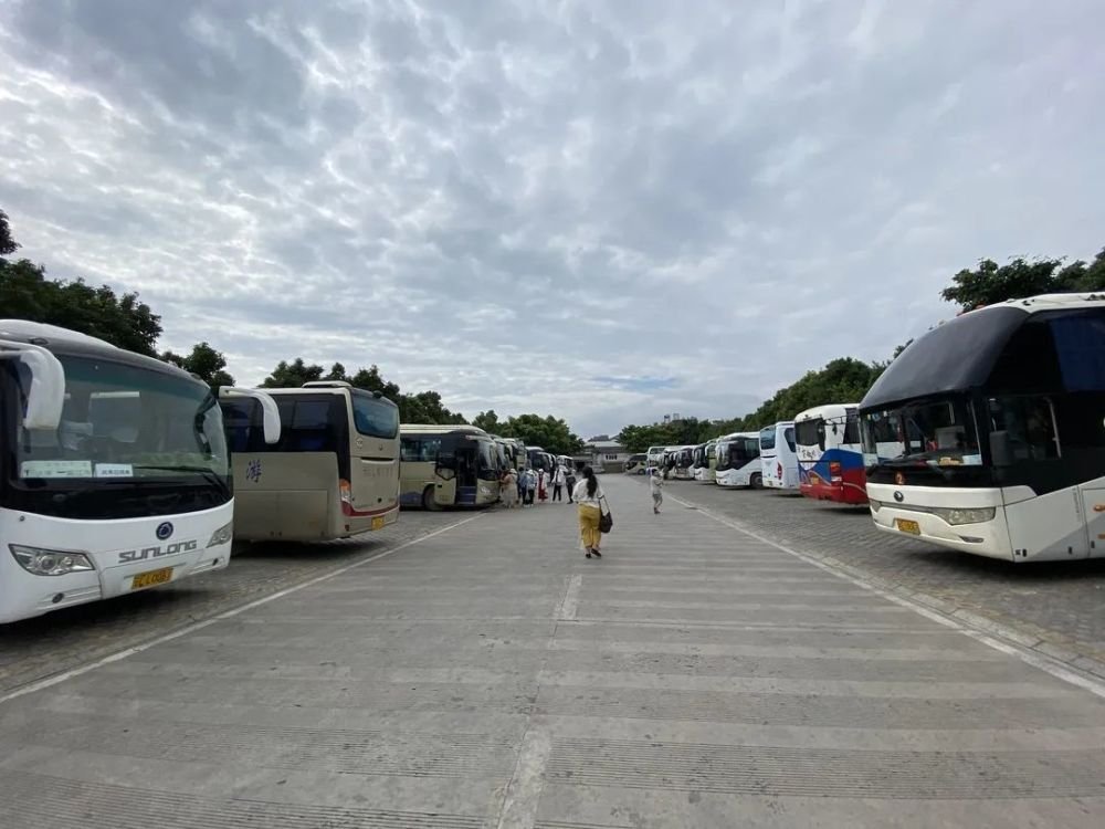 跨省团队游开放，暑期小高峰来临！大理旅游全面复苏来了吗？