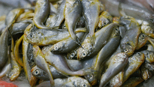 夹在温州台州之间，这座小城美食直接封神