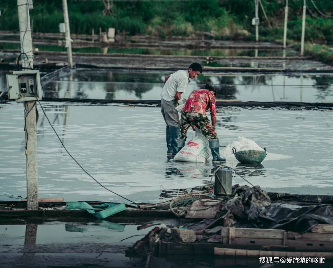 夹在温州台州之间，这座小城美食直接封神