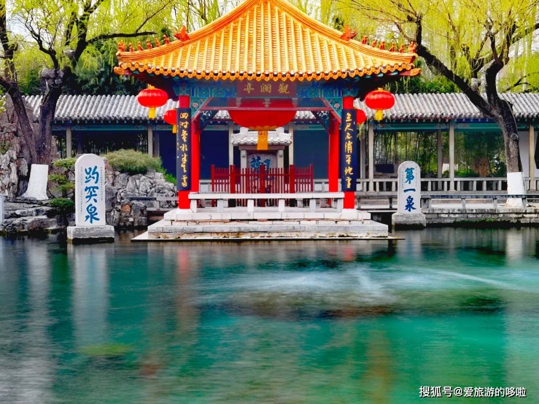 北国最有韵味的老城，十里银杏火上热搜！济南，请你秋天来！