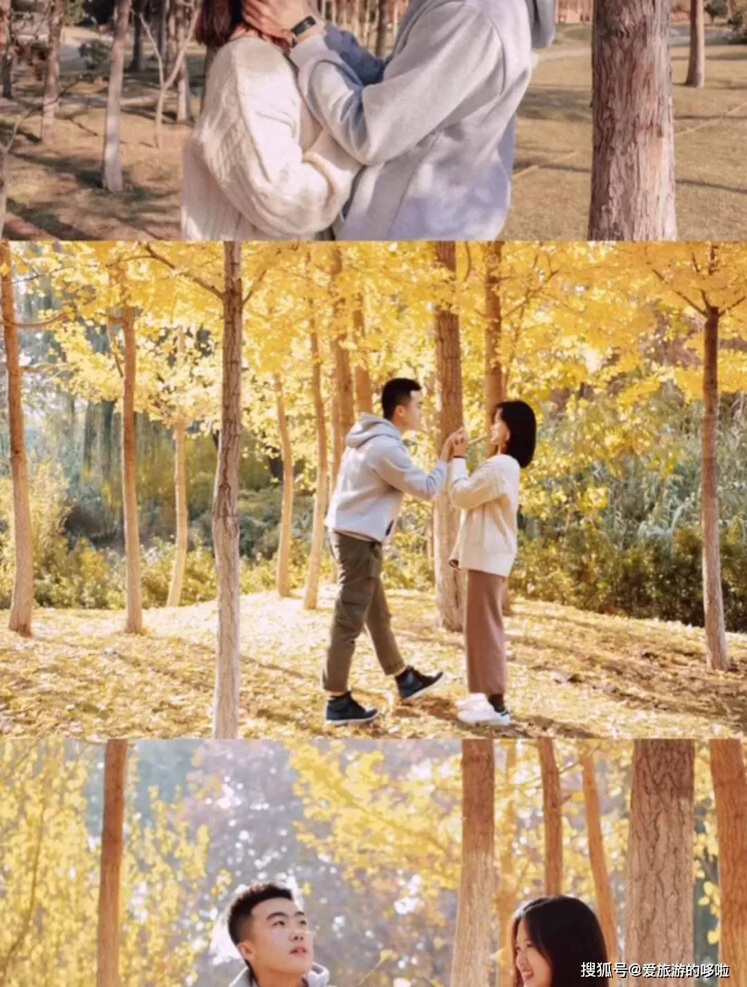 北国最有韵味的老城，十里银杏火上热搜！济南，请你秋天来！