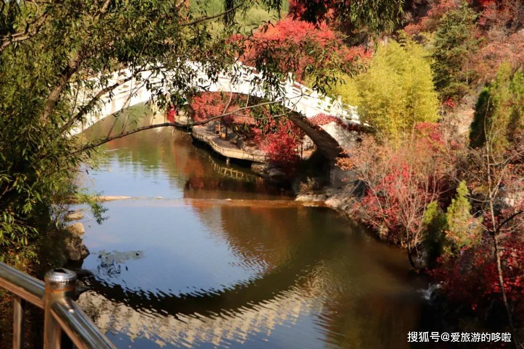 北国最有韵味的老城，十里银杏火上热搜！济南，请你秋天来！