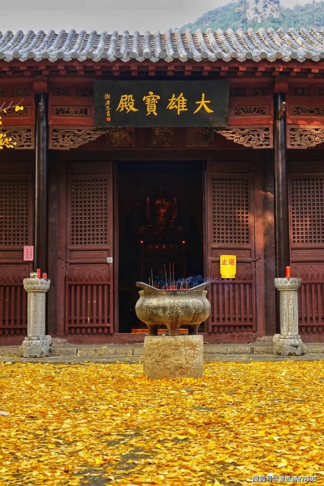 北国最有韵味的老城，十里银杏火上热搜！济南，请你秋天来！