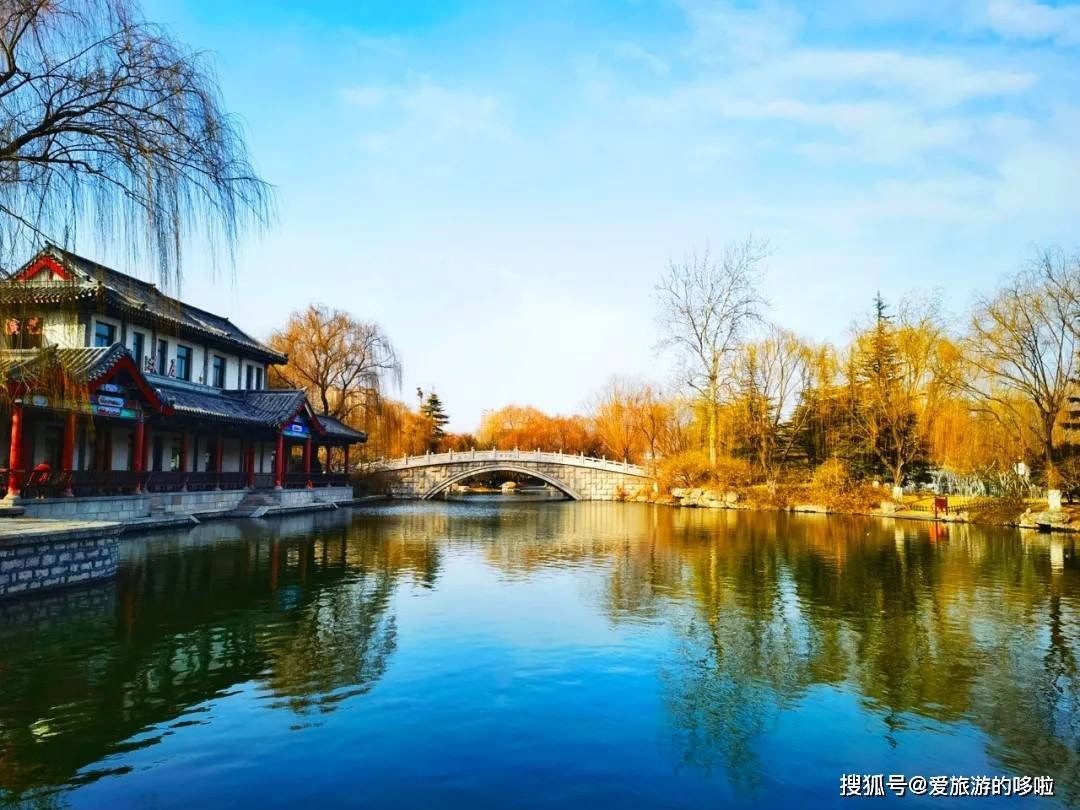 北国最有韵味的老城，十里银杏火上热搜！济南，请你秋天来！