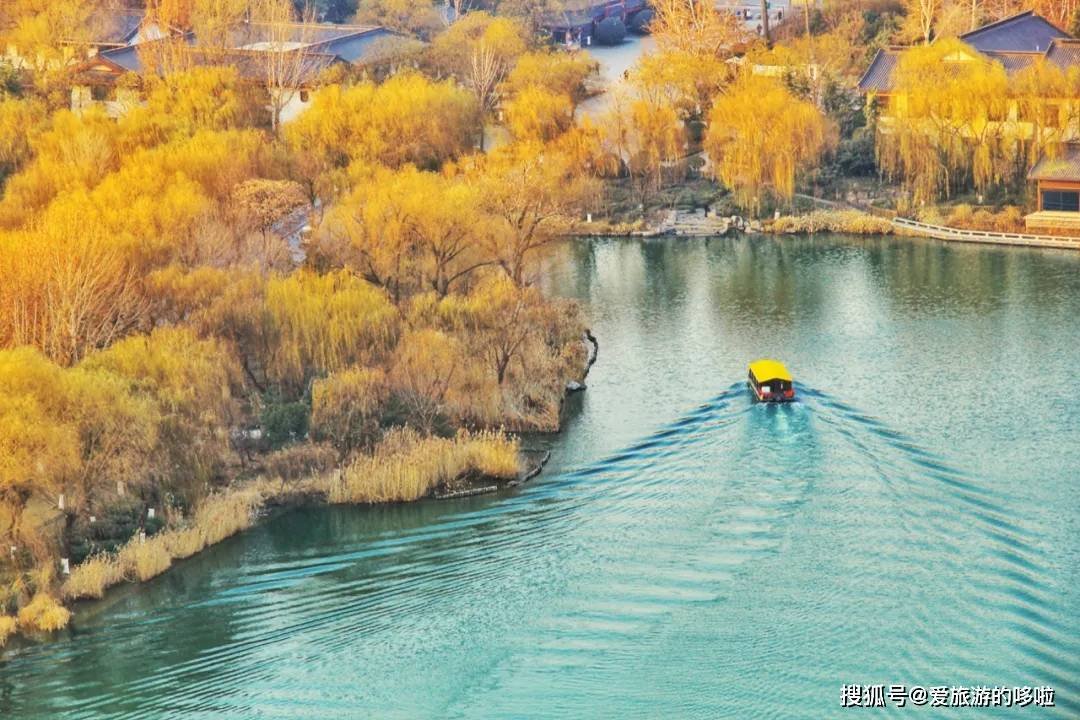 北国最有韵味的老城，十里银杏火上热搜！济南，请你秋天来！