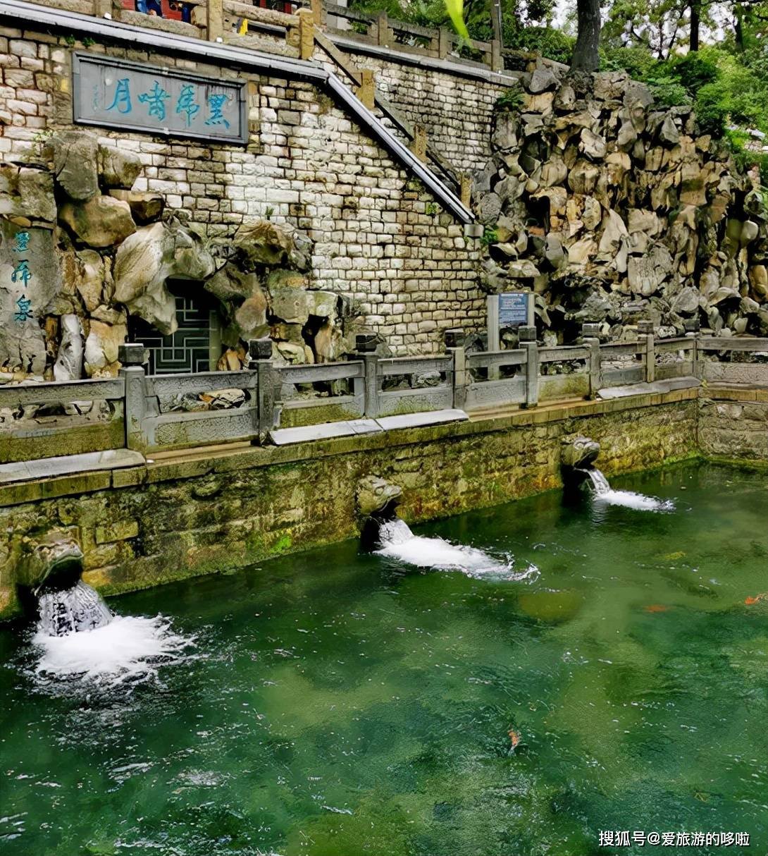 北国最有韵味的老城，十里银杏火上热搜！济南，请你秋天来！