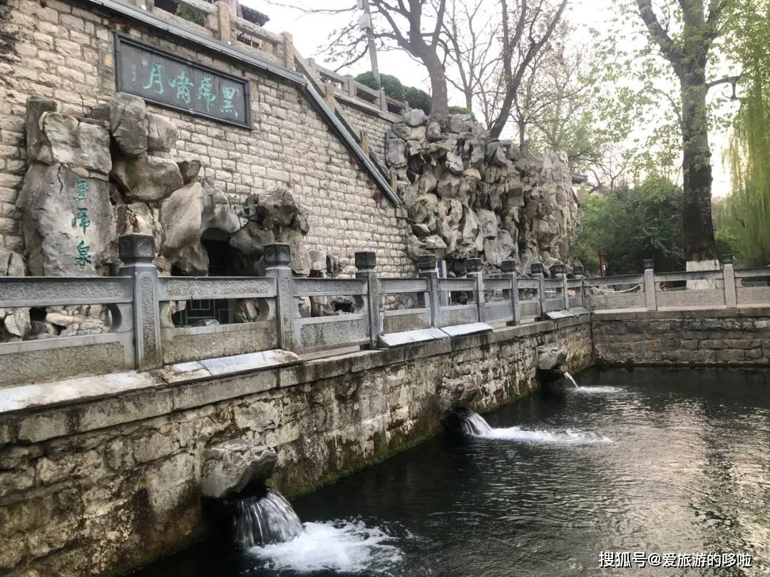 北国最有韵味的老城，十里银杏火上热搜！济南，请你秋天来！