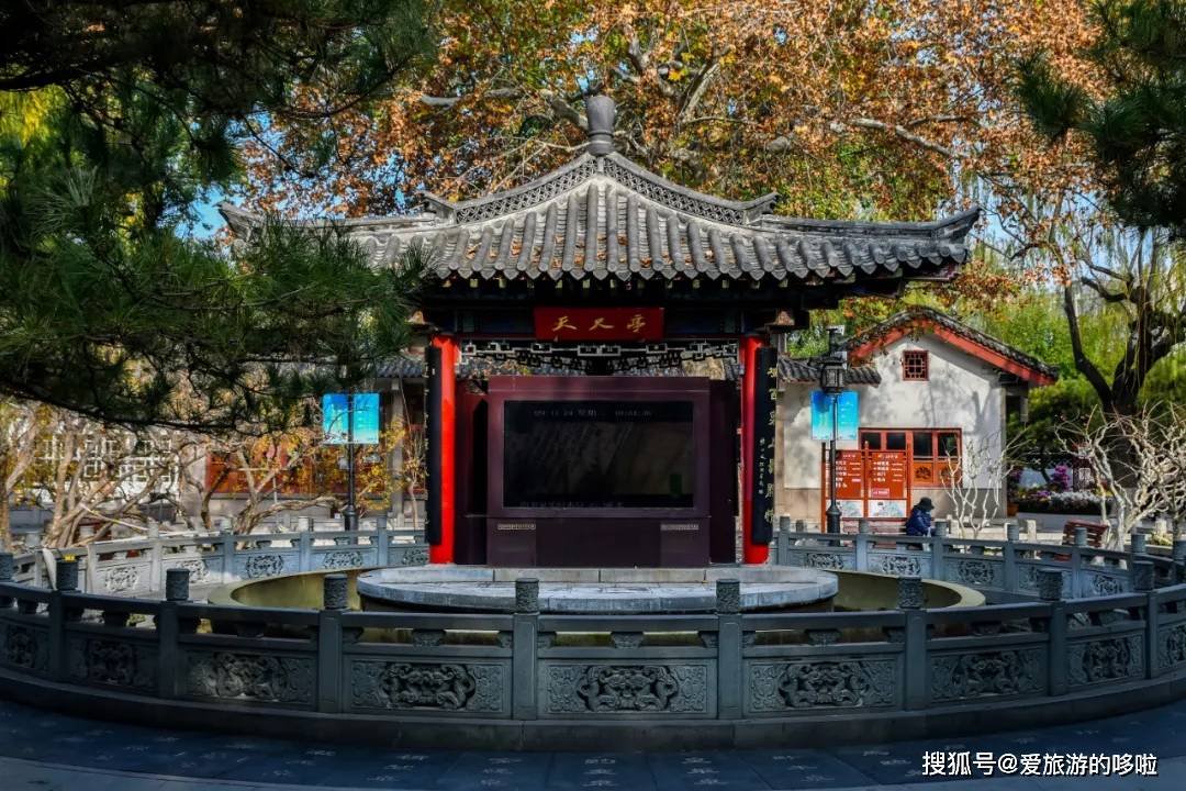 北国最有韵味的老城，十里银杏火上热搜！济南，请你秋天来！