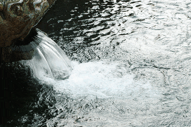 北国最有韵味的老城，十里银杏火上热搜！济南，请你秋天来！