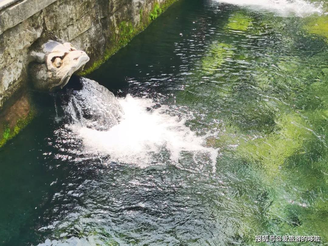 北国最有韵味的老城，十里银杏火上热搜！济南，请你秋天来！