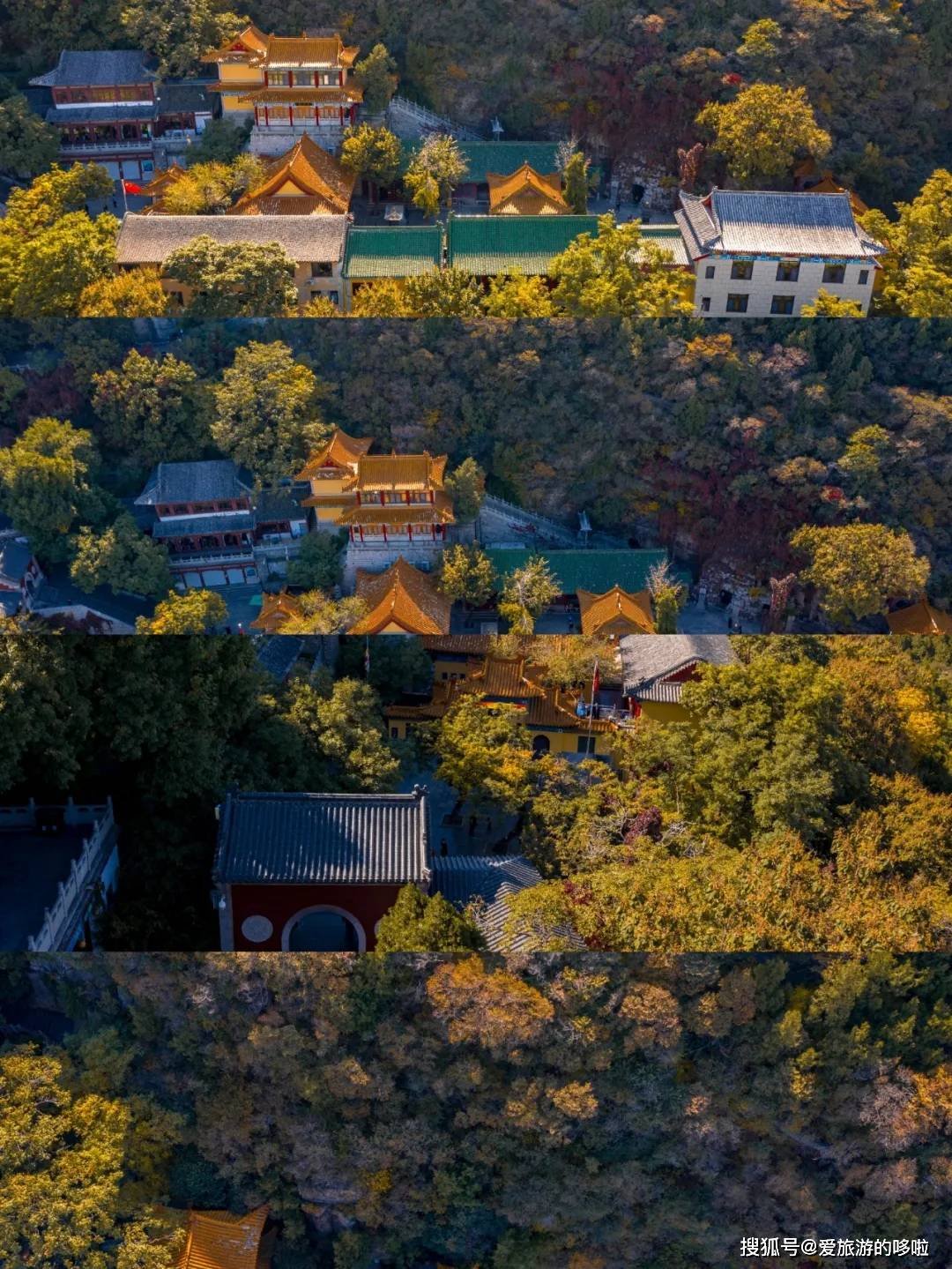 北国最有韵味的老城，十里银杏火上热搜！济南，请你秋天来！