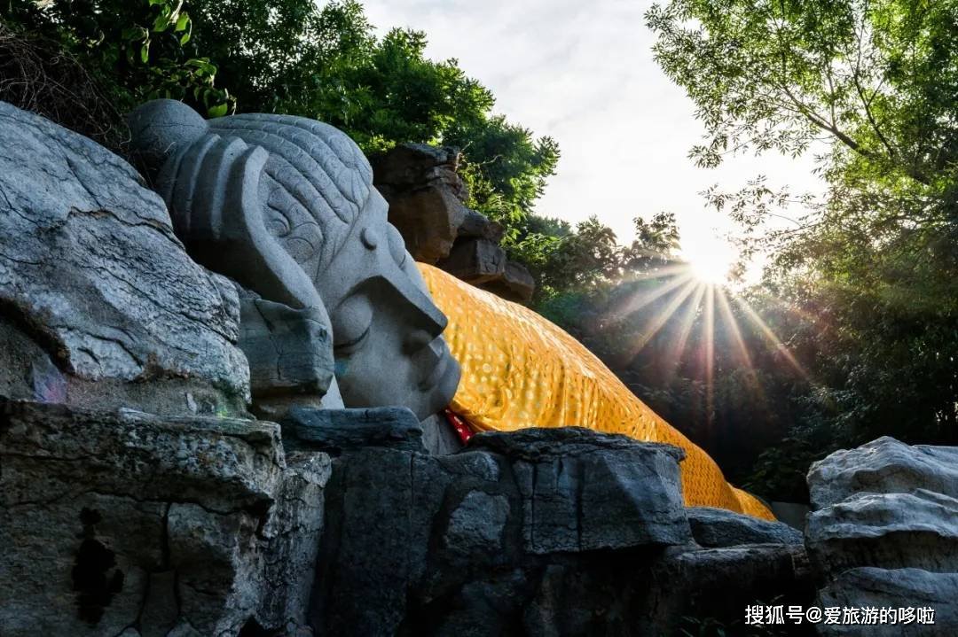 北国最有韵味的老城，十里银杏火上热搜！济南，请你秋天来！