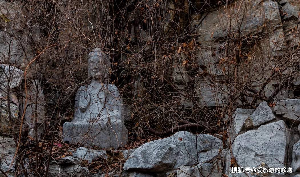 北国最有韵味的老城，十里银杏火上热搜！济南，请你秋天来！