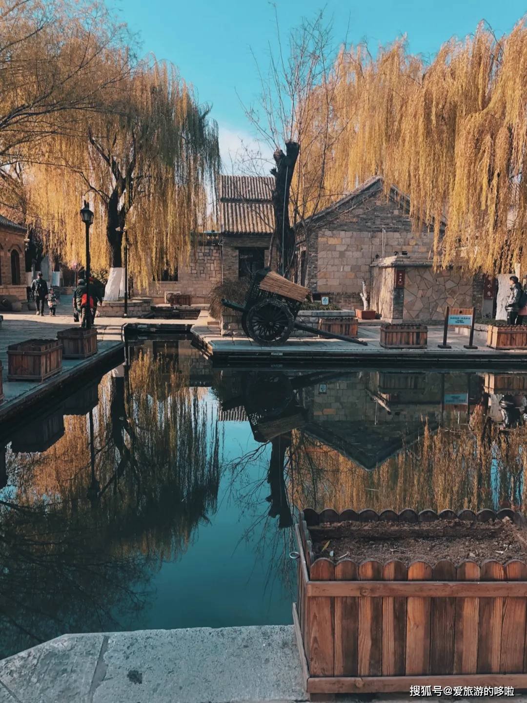 北国最有韵味的老城，十里银杏火上热搜！济南，请你秋天来！