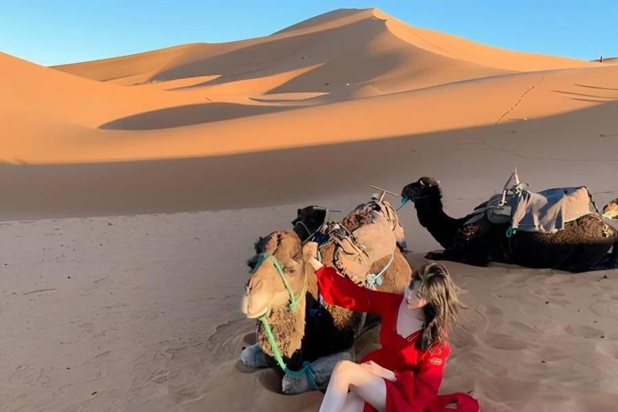 面积超940万平方公里，如此巨大的撒哈拉沙漠，是如何形成的？