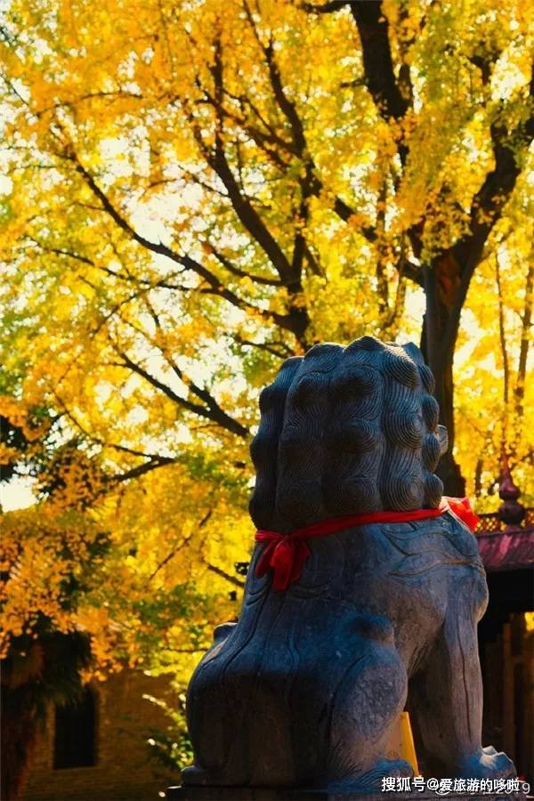 被网友带火了,安徽最好吃的小城!为什么还有人不知道? 被网友带火了,安徽最好吃的小城!为什么还有人不知道?