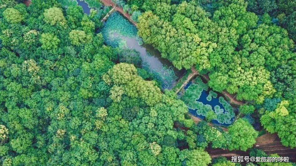 被网友带火了,安徽最好吃的小城!为什么还有人不知道? 被网友带火了,安徽最好吃的小城!为什么还有人不知道?