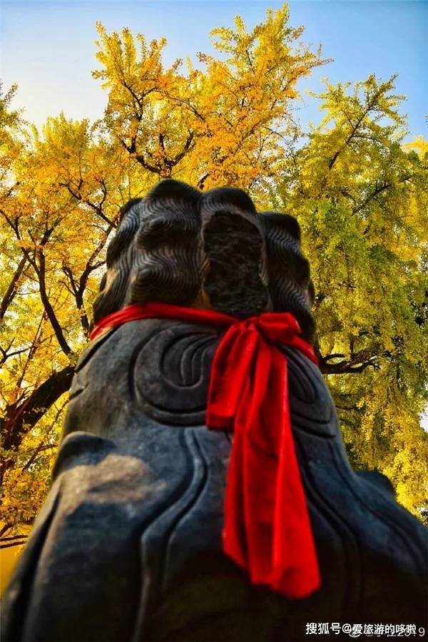 被网友带火了,安徽最好吃的小城!为什么还有人不知道? 被网友带火了,安徽最好吃的小城!为什么还有人不知道?