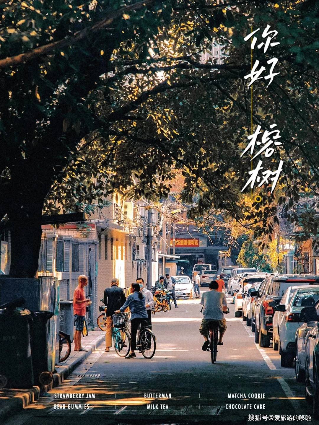 老广寻味法则：榕树头下必有美味！