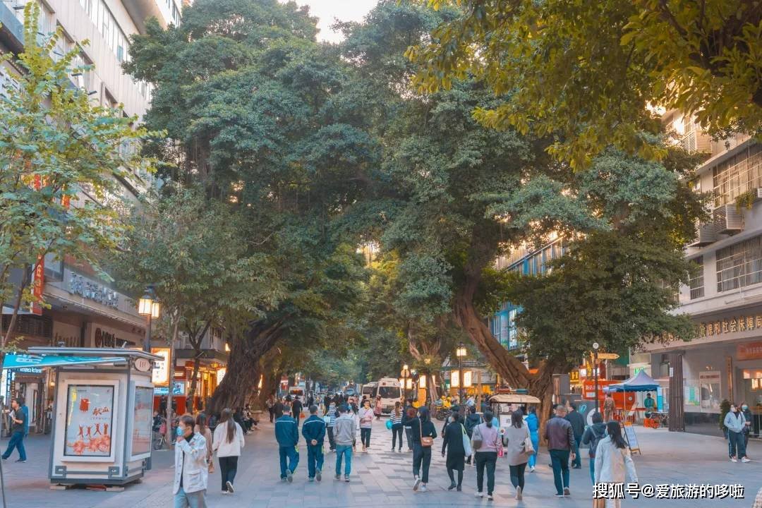 老广寻味法则：榕树头下必有美味！