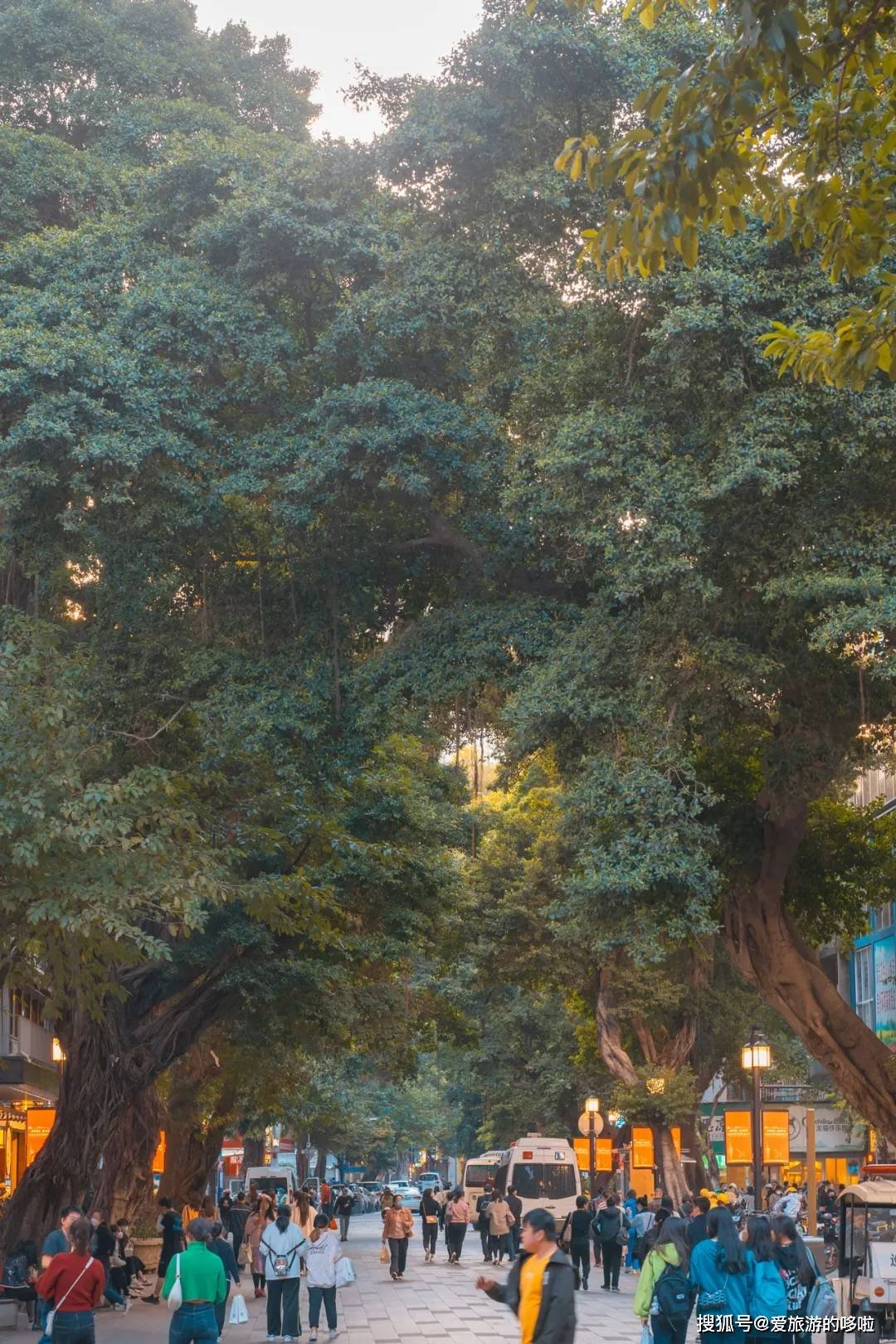 老广寻味法则：榕树头下必有美味！