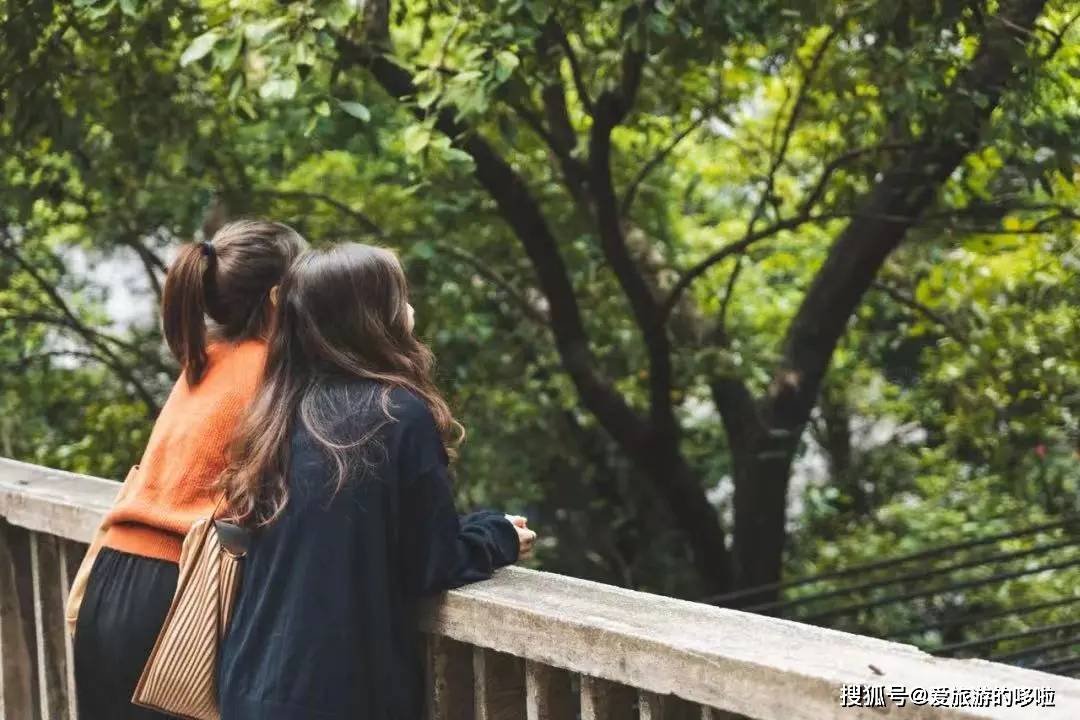 老广寻味法则：榕树头下必有美味！