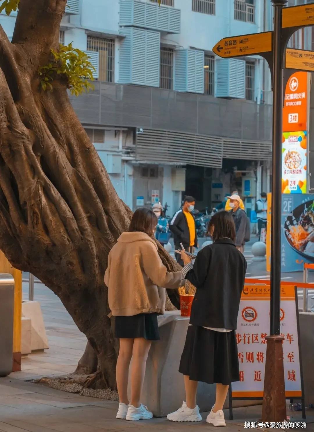 老广寻味法则：榕树头下必有美味！