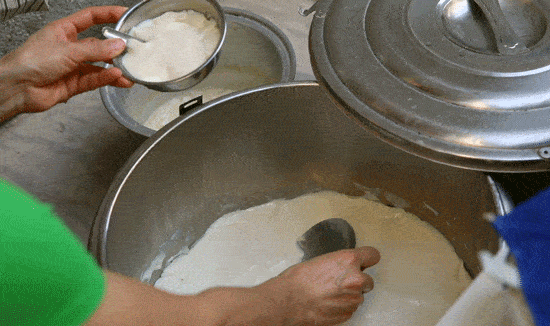 老广寻味法则：榕树头下必有美味！