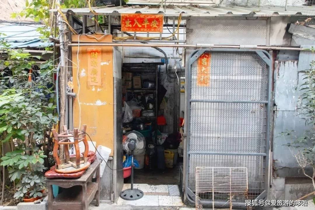 老广寻味法则：榕树头下必有美味！