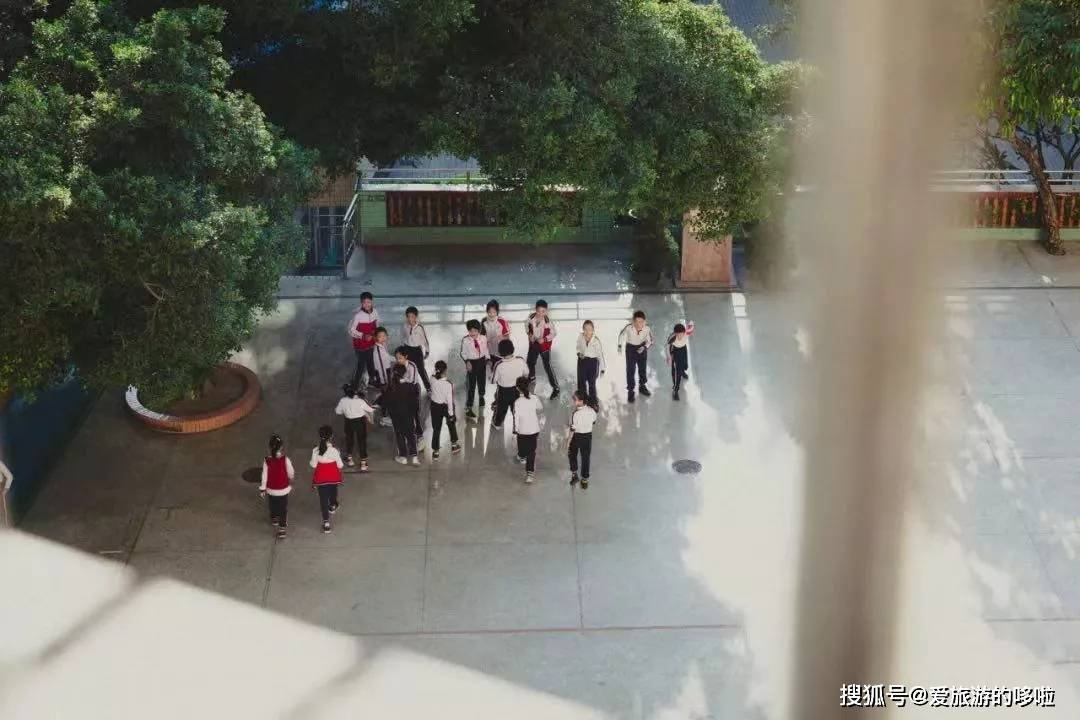 老广寻味法则：榕树头下必有美味！