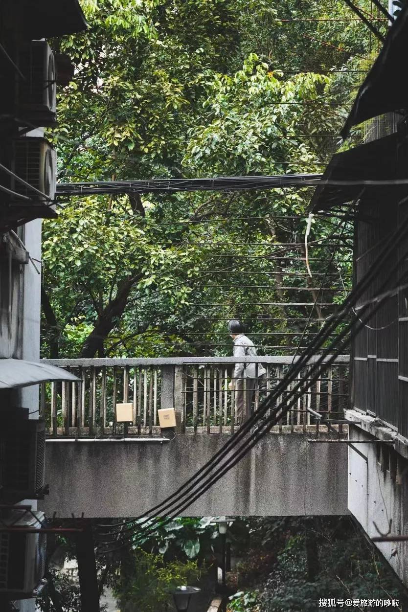 老广寻味法则：榕树头下必有美味！