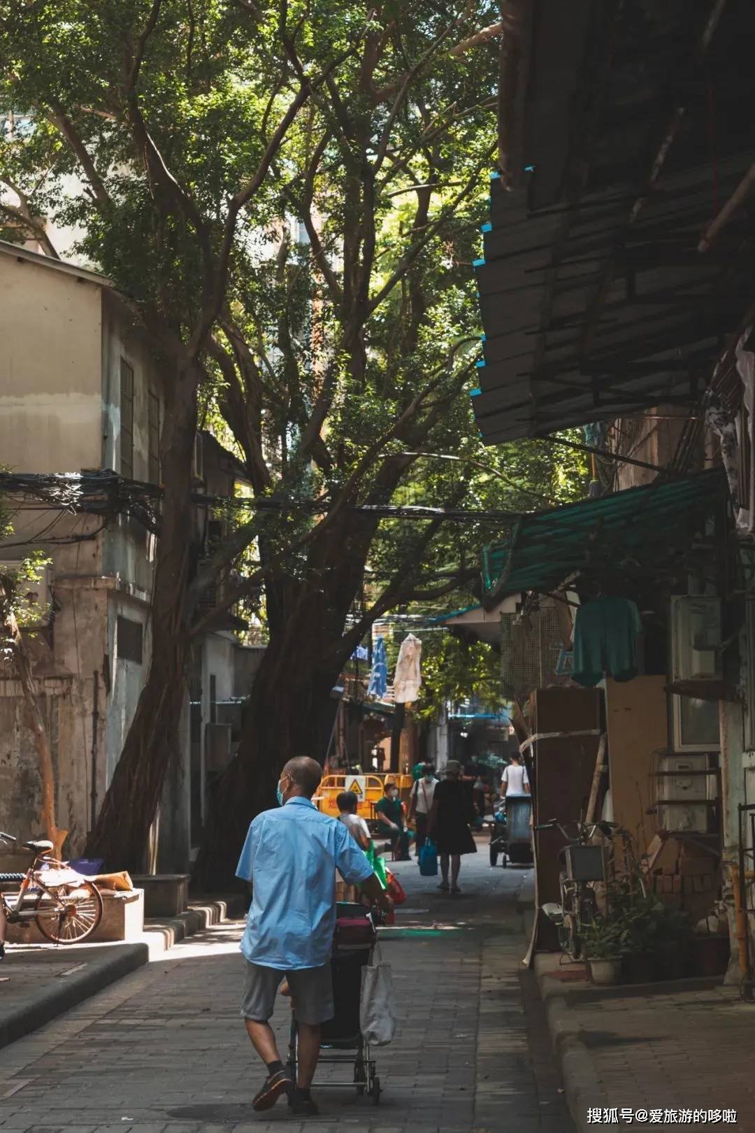 老广寻味法则：榕树头下必有美味！