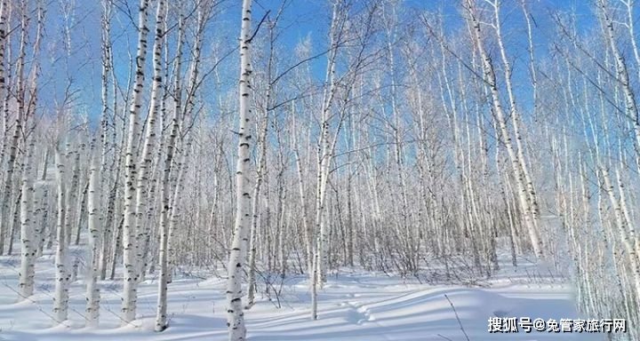 漠河找北必看攻略带你揭开漠河神秘面纱一路向北赏极光观极昼