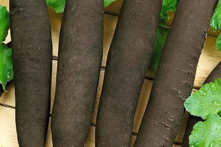 盘点欧洲菜市场那些奇怪的洋蔬菜