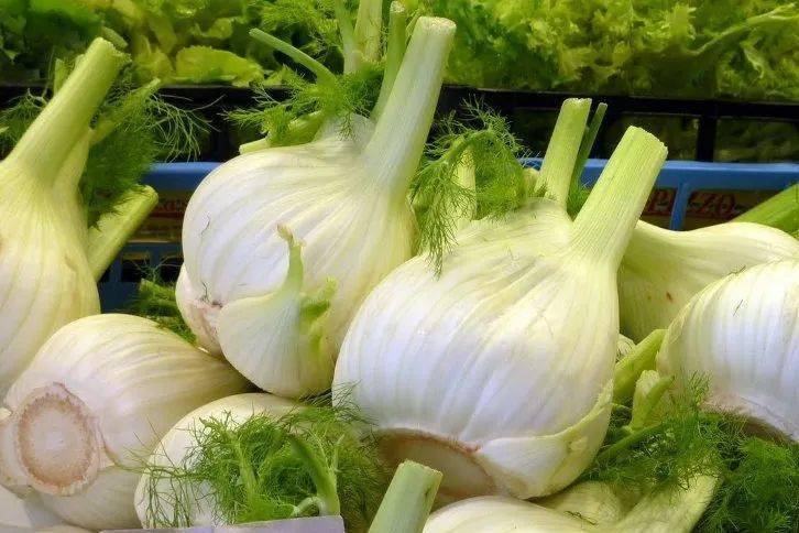 盘点欧洲菜市场那些奇怪的洋蔬菜