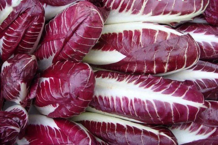 盘点欧洲菜市场那些奇怪的洋蔬菜