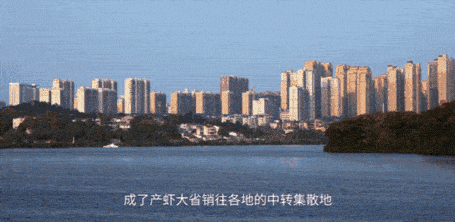 下饭神剧来了!挖出30座城的街头绝版美食,高能不断,太上头了! 下饭神剧来了!挖出30座城的街头绝版美食,高能不断,太上头了!