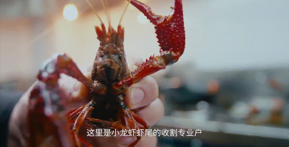 下饭神剧来了!挖出30座城的街头绝版美食,高能不断,太上头了! 下饭神剧来了!挖出30座城的街头绝版美食,高能不断,太上头了!