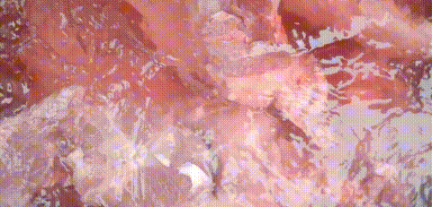 下饭神剧来了!挖出30座城的街头绝版美食,高能不断,太上头了! 下饭神剧来了!挖出30座城的街头绝版美食,高能不断,太上头了!