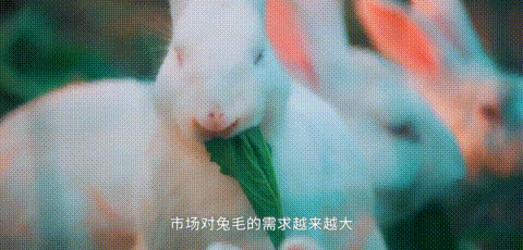 下饭神剧来了!挖出30座城的街头绝版美食,高能不断,太上头了! 下饭神剧来了!挖出30座城的街头绝版美食,高能不断,太上头了!