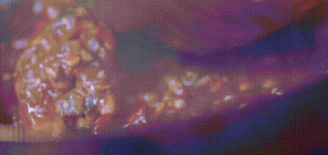 下饭神剧来了!挖出30座城的街头绝版美食,高能不断,太上头了! 下饭神剧来了!挖出30座城的街头绝版美食,高能不断,太上头了!