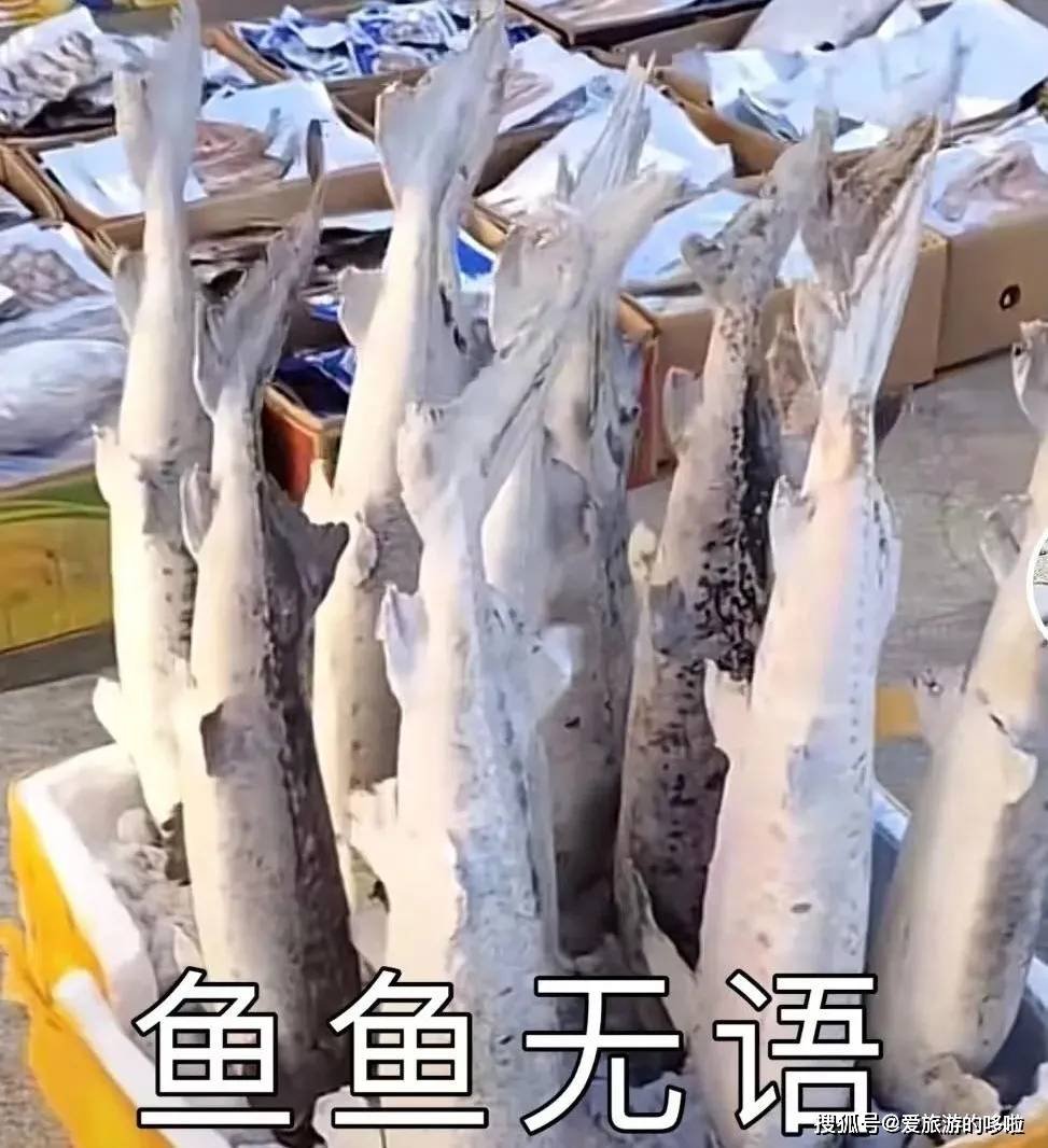 东北人：在我的认知里，带鱼天生就是冻的