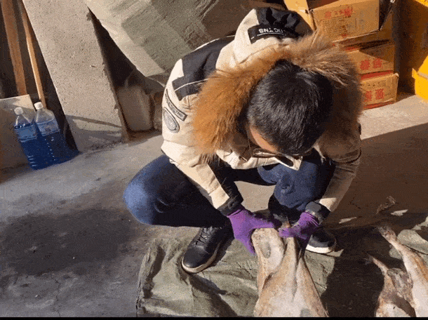 东北人:在我的认知里,带鱼天生就是冻的 东北人:在我的认知里,带鱼天生就是冻的