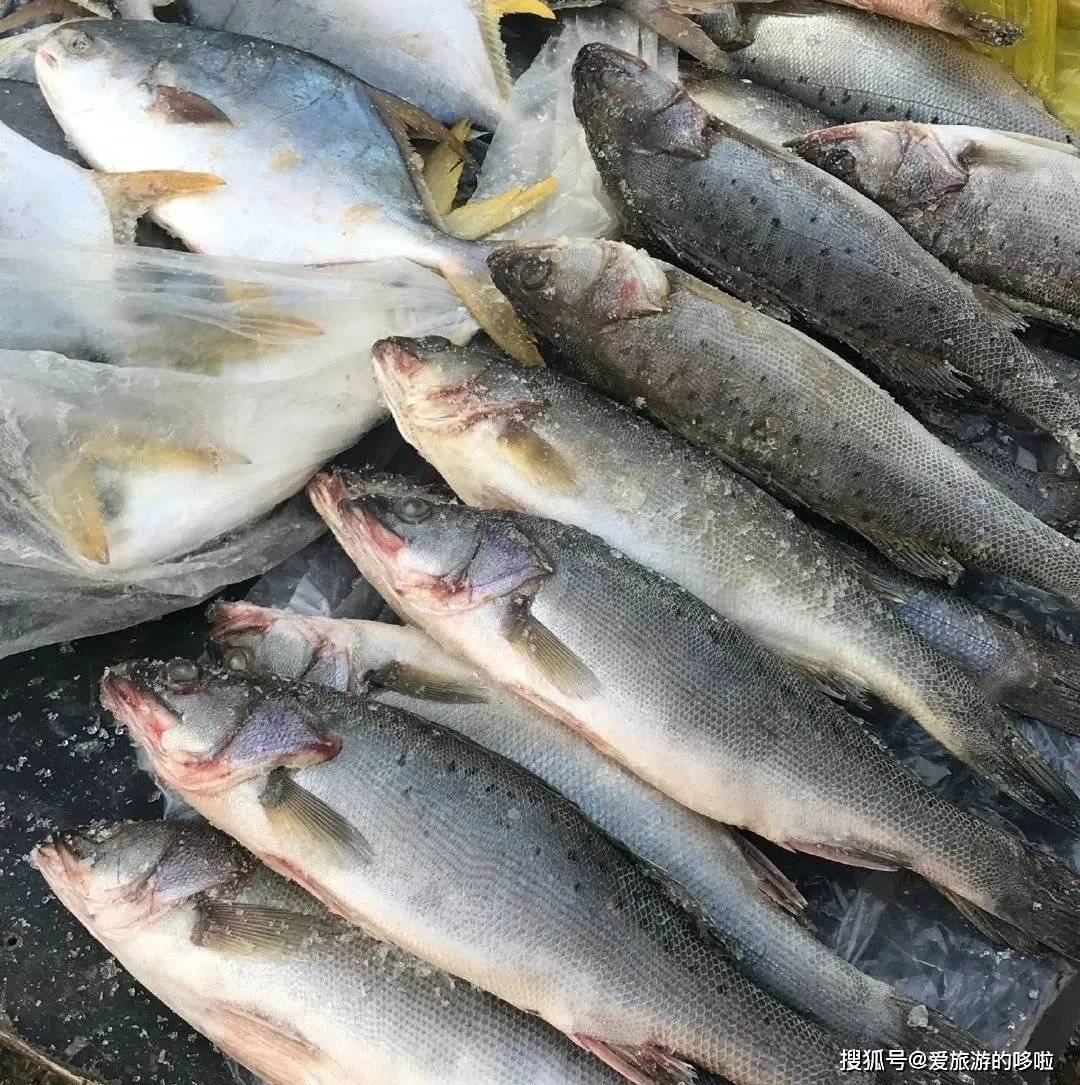 东北人:在我的认知里,带鱼天生就是冻的 东北人:在我的认知里,带鱼天生就是冻的