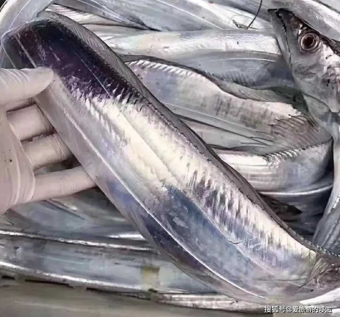 东北人:在我的认知里,带鱼天生就是冻的 东北人:在我的认知里,带鱼天生就是冻的