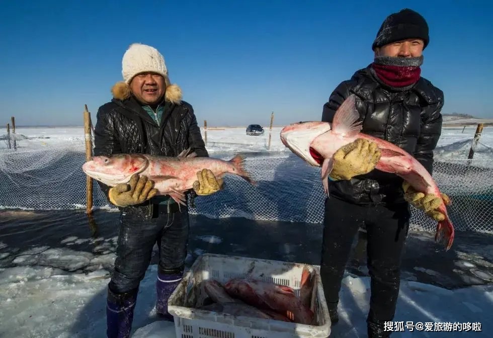 别再问我东北有什么好吃的!跟着这篇文章吃就够了~ 别再问我东北有什么好吃的!跟着这篇文章吃就够了~