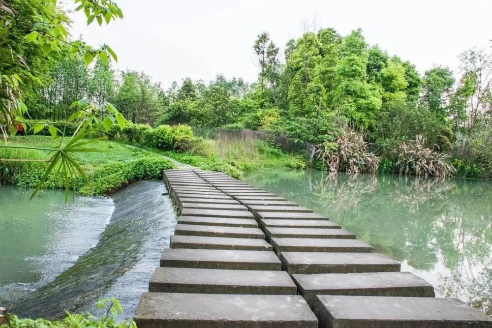 成都1h刹拢小众玩水地!捕鱼捉虾、水杉栈道、森林稻田…不要门票耍一天! 成都1h刹拢小众玩水地!捕鱼捉虾、水杉栈道、森林稻田…不要门票耍一天!